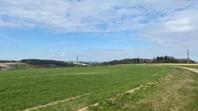 Gewerbegrund