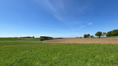 Ausblick