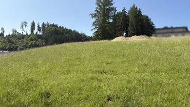 Grundstück