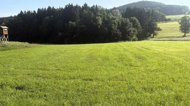 Landwirtschaftliche Fläche