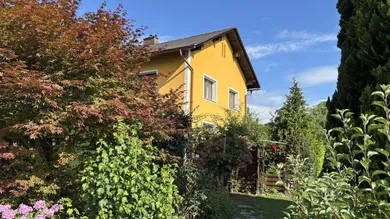 IMG_5432