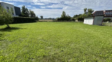 20250805_Baugrund Leppersdorf (17)