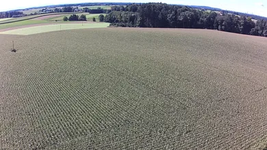 Anischt Feld Nordwest