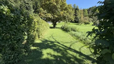 Eigengarten (2)