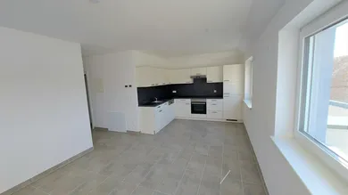 Wohnzimmer mit offener Küche