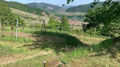 Ansicht1
