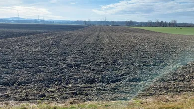 Foto_Schmida