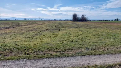 Foto_Seitzersdorf-Wolfpassing