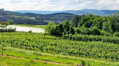 Aussicht I