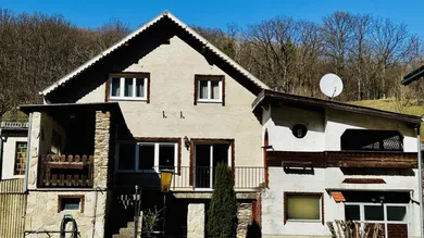 Haus gartenseitig