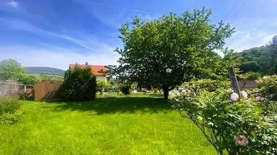 Garten mit Kirschenbaum und Gartenhütte