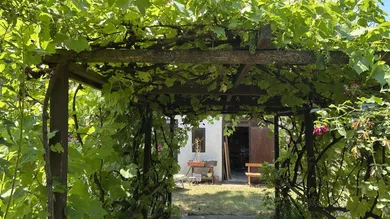 Gartenlaube