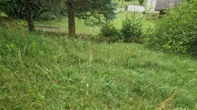 Ihre Liegenschaft am sonnigen Baugrundstück mit soviel Wald