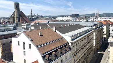 Blick