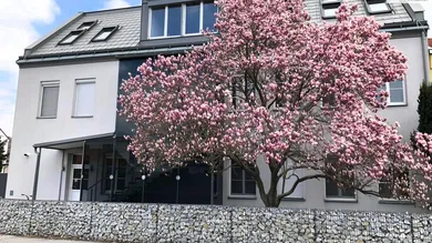 Hausansicht 1