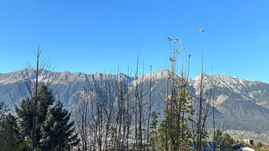 Ausblick vor dem Haus