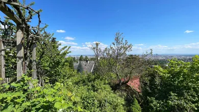 Ausblick