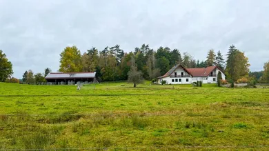 IMG_4437