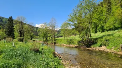 Natur PUR
