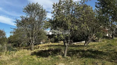 IMG_5728