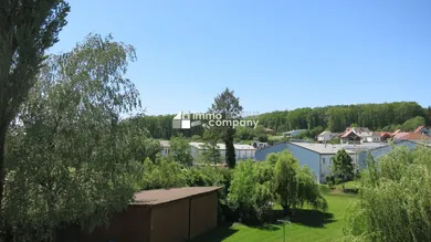 Aussicht Altbestand