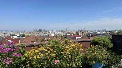 Blick von Terrasse