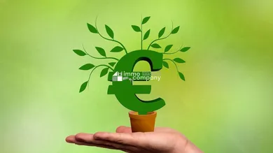 Anlage - Investition - Rendite