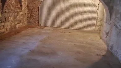 1000050263