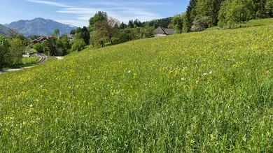 schöner Ausblick