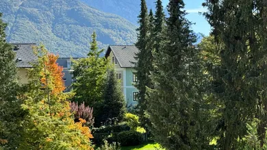 Ausblick