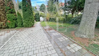 Slide 1