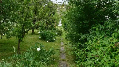 Garten mit Obstbäumen