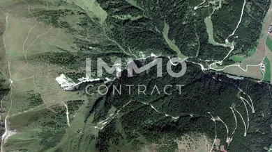 Satellitenaufnahme Waldparzelle