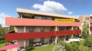 Top B11