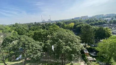 Ausblick