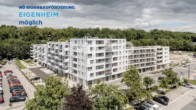 20240529-Steingötterhof Außenaufnahmen-©6B47-4