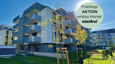 Frühling (1)