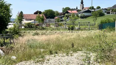 Ausblick