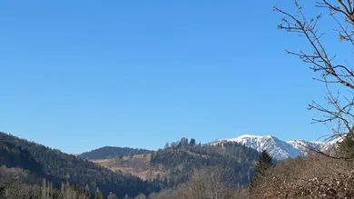 Ausblick
