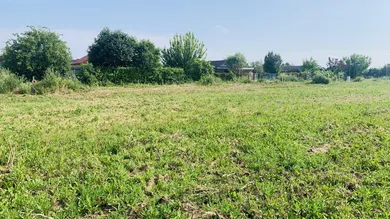 Grundstück