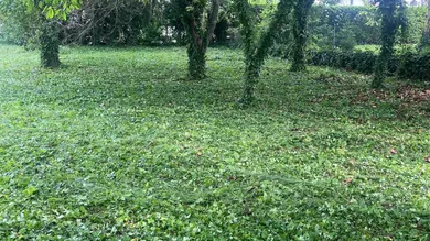 IMG-20250522-WA0009