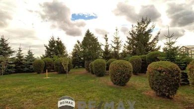 Garten_hinten