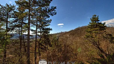 Ausblick