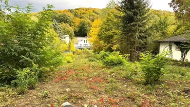01 Baugrund in Mauerbach