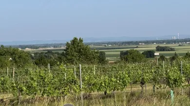 Baugrundstück