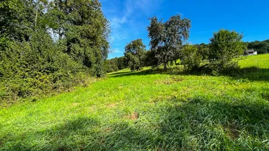 IMG_2635