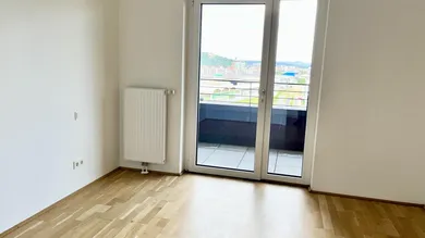 Zimmer
