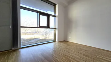 Zimmer-2