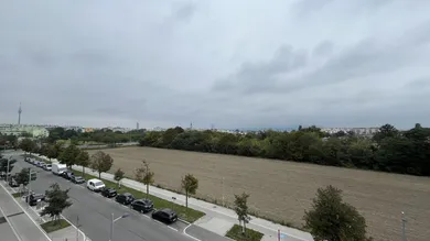 Ausblick