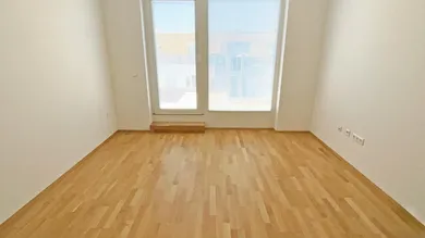 B16 (1)
